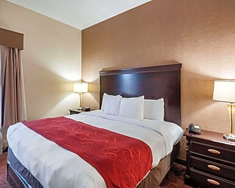 1 king bed, business room, suite, nonsmoking