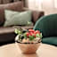 Stadthotel Borken by Hackmann