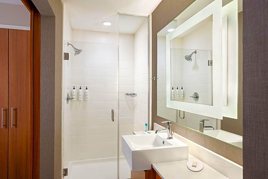 SpringHill Suites by Marriott Wisconsin Dells