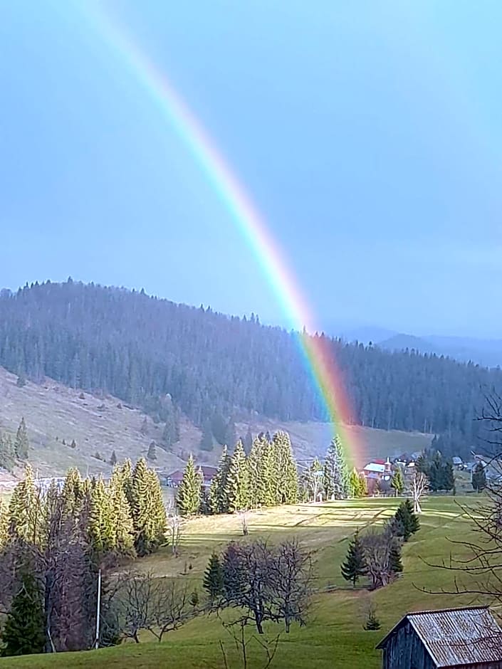 Casa din Deal-Apuseni