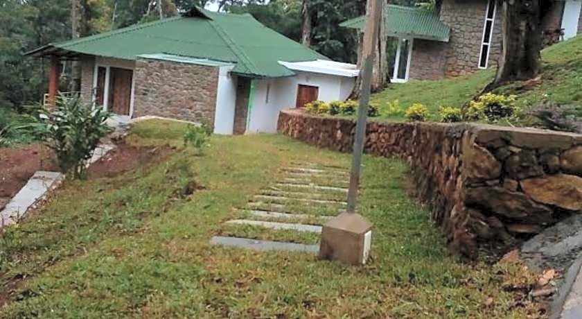 Neelakurunji Plantation Munnar