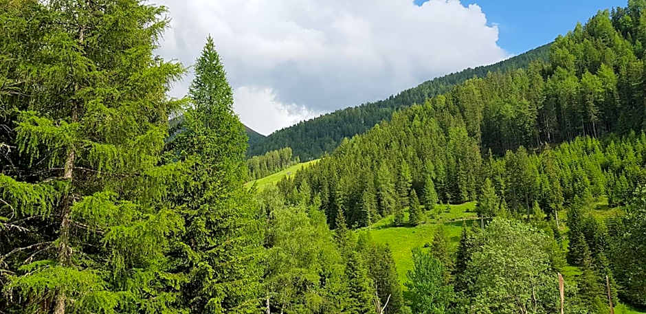 Kinder- und Familienhotel Nockalm