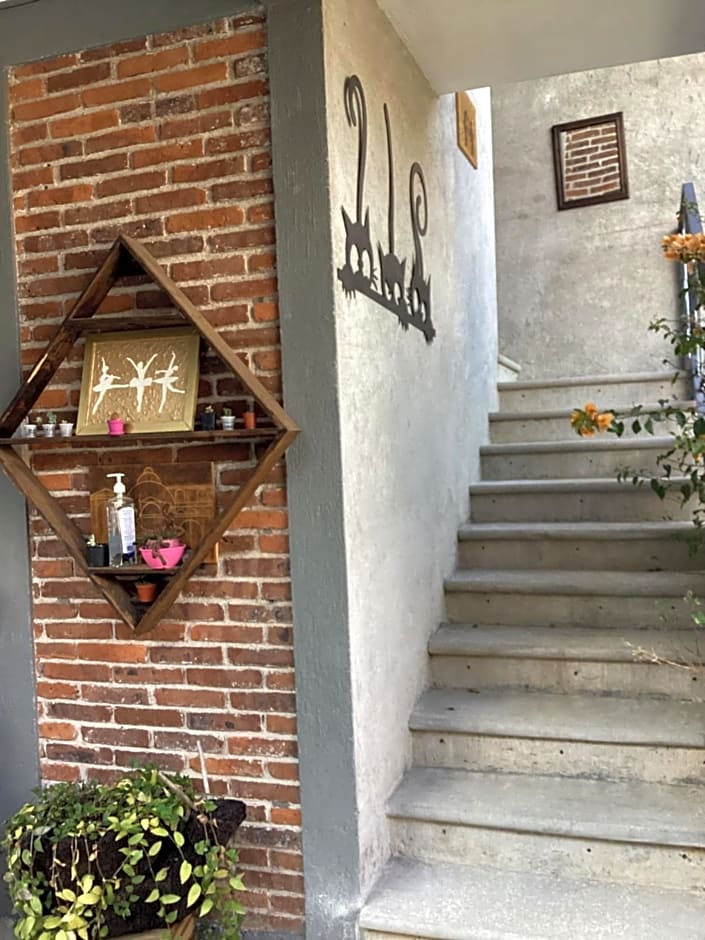 Hotel las carretas , spa y temazcal