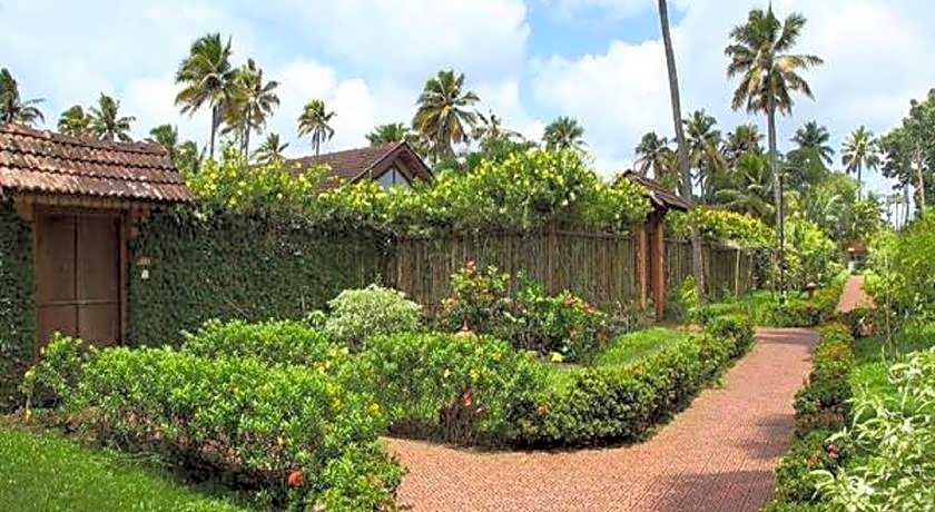 Abad Whispering Palms