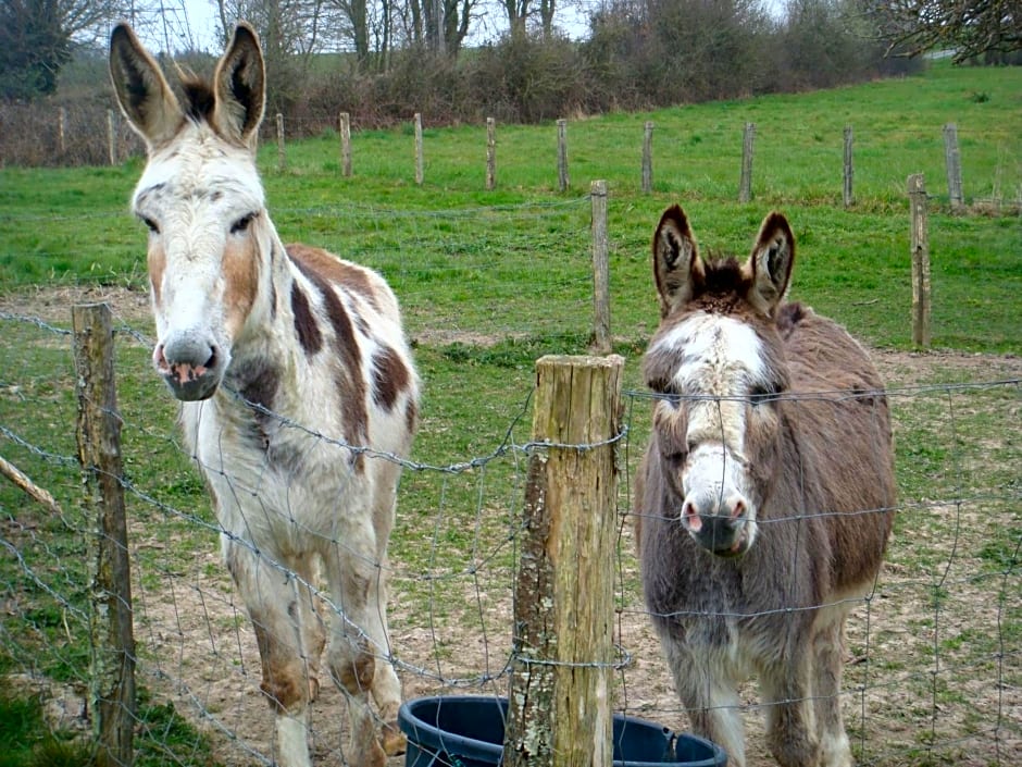 Chambres La Guéjaillière