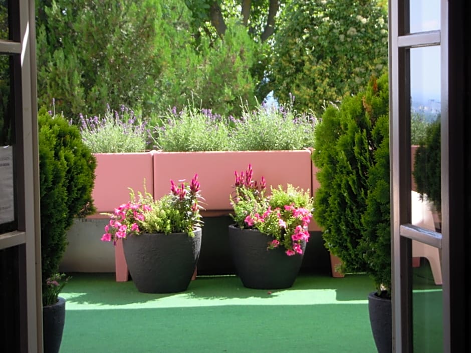 Palace Hostel  - Schlossherberge