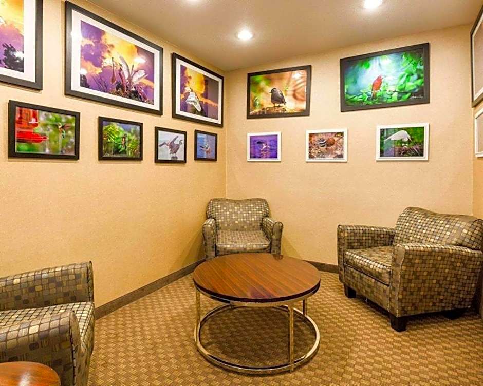 Comfort Inn & Suites