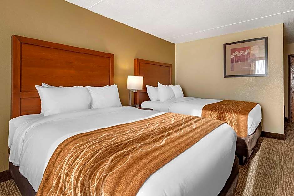 Comfort Inn & Suites Triadelphia - Wheeling