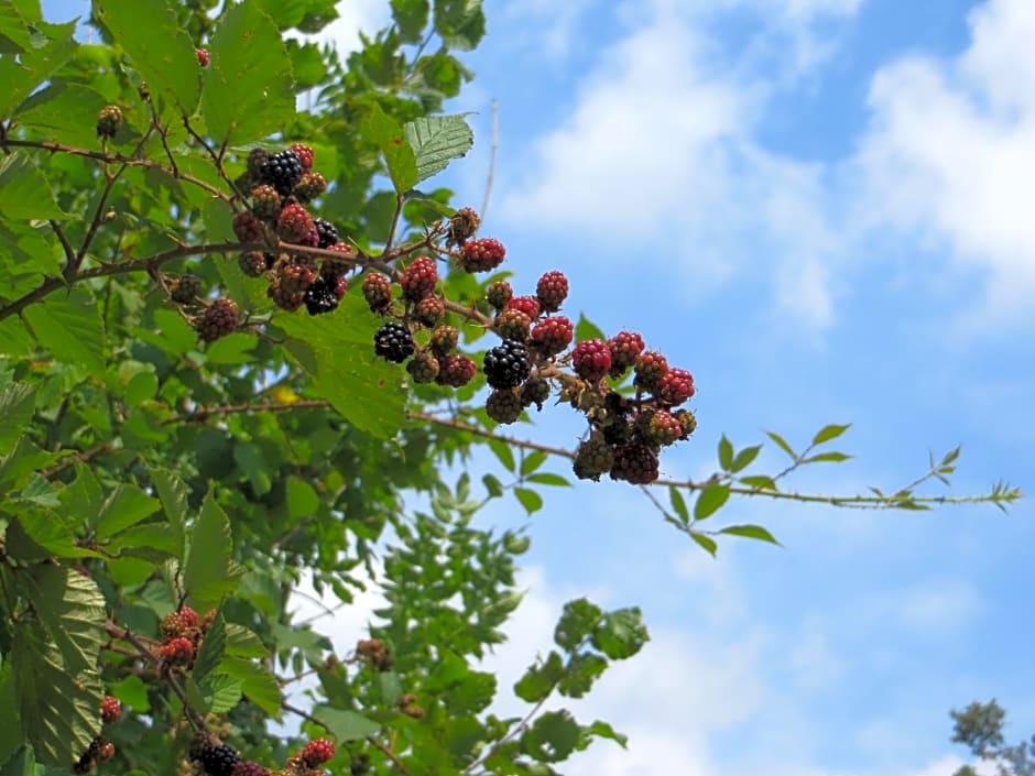 La Bella Dormiente B&B