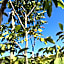 Azienda Agrituristica I Tre Casali
