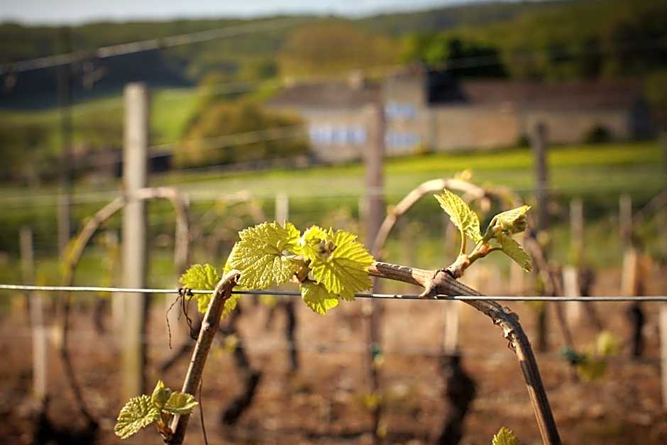 Les maisons vigneronnes
