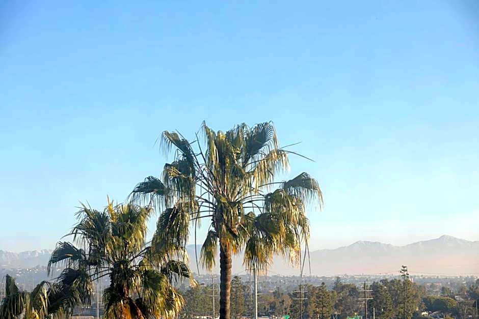 Hilton Garden Inn LAX Los Angeles Airport