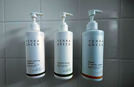 King Studio with Roll In Shower