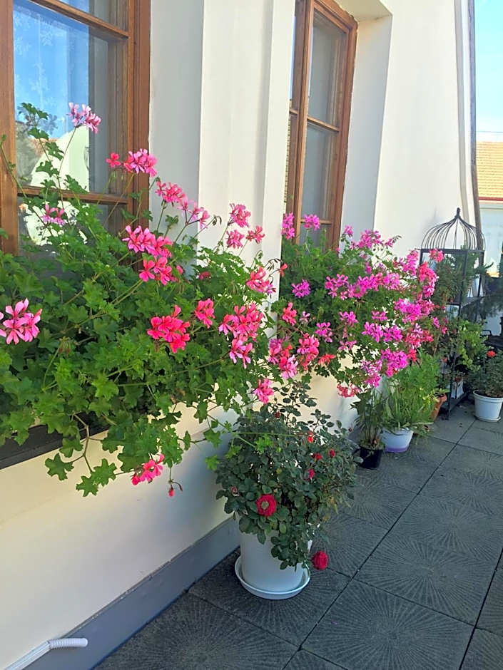 Old Town Boutique Apartments