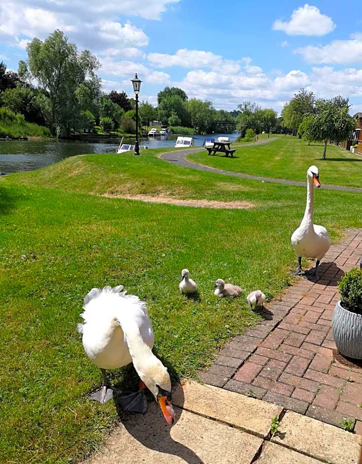 Bend in the River Lodge