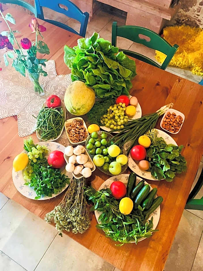 Fragrante Hotel - Adult Only (+13)