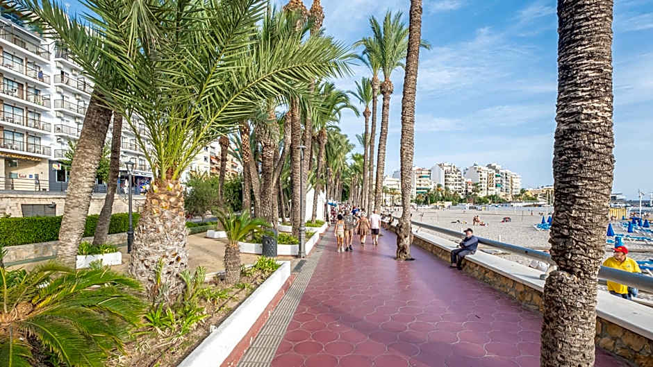 Apartamentos La Rosita Old Town
