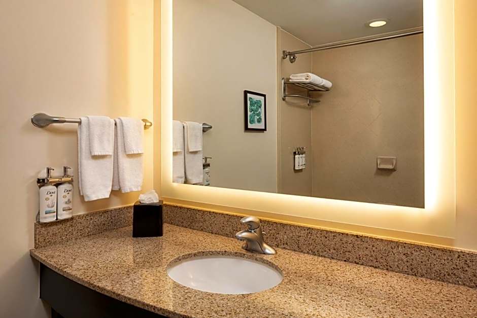 Holiday Inn Hotel & Suites Maple Grove Northwest Minneapolis-Arbor Lakes By IHG