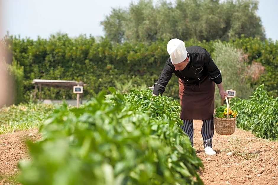 Tenuta Moreno