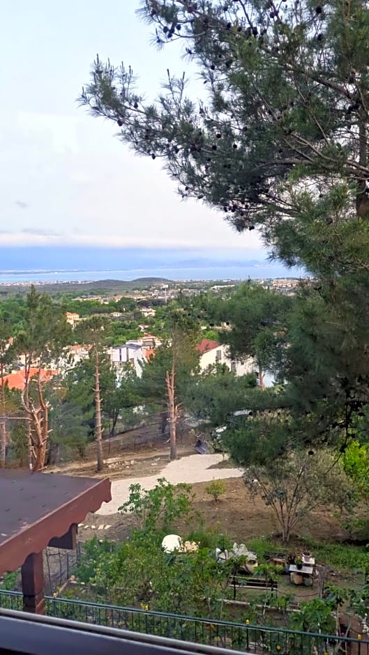 Sarı Konak Butik Otel