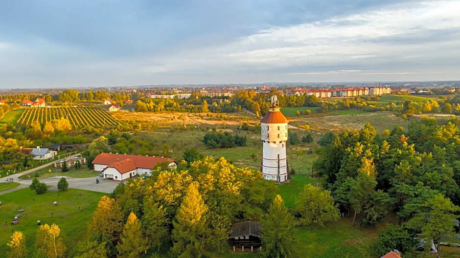 Róża Wiatrów
