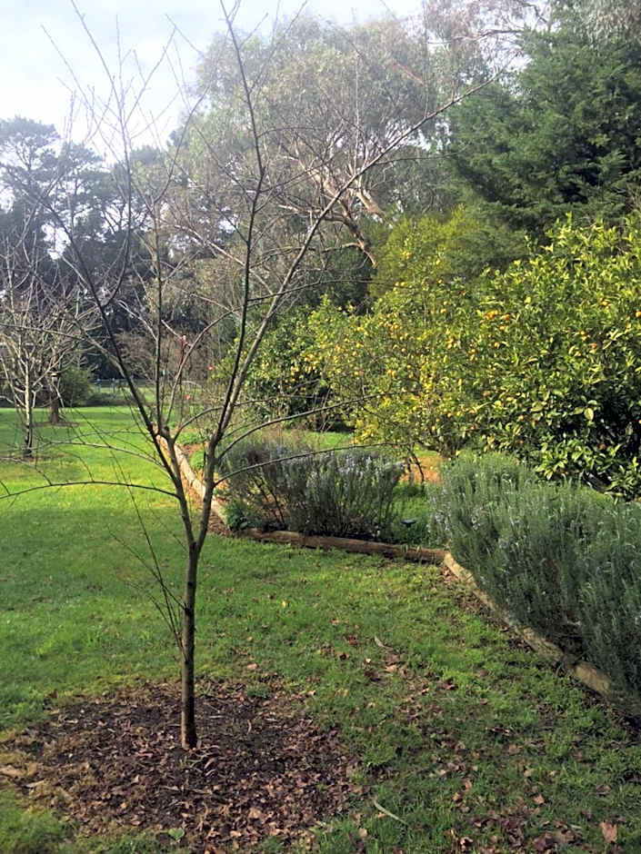 Sherwood Park bed and breakfast