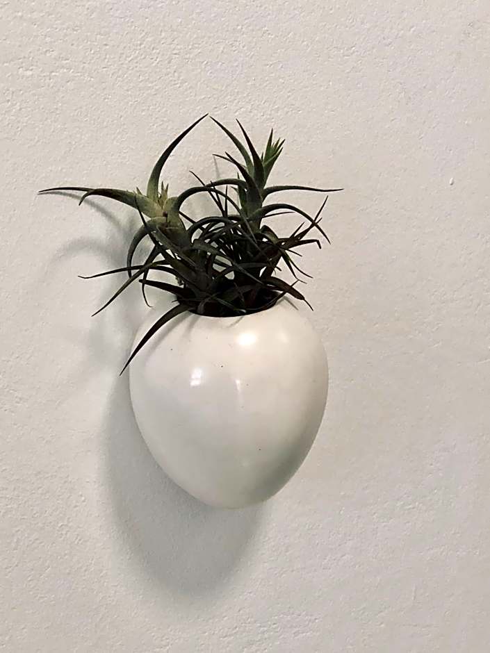 Karee Manor Guesthouse