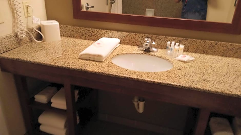 Comfort Suites Savannah North