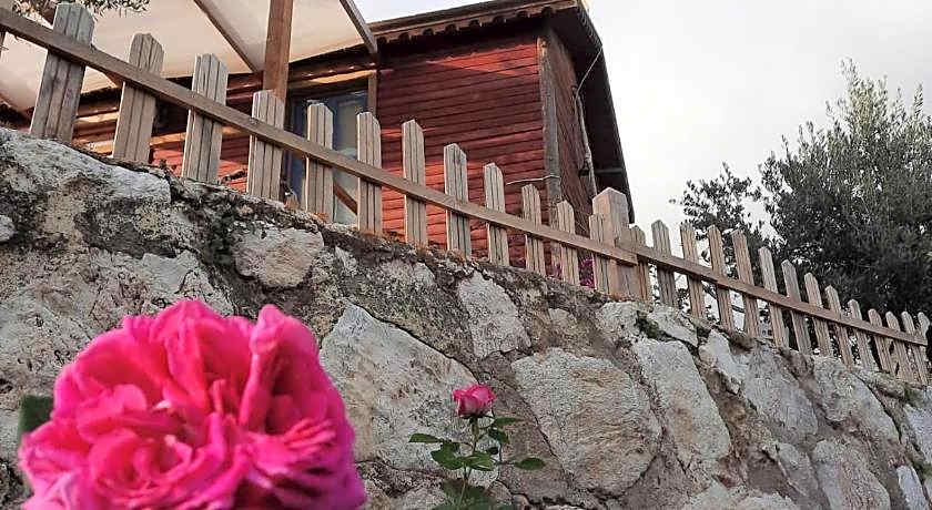 Bahar Bahce Datca