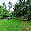 Green Forest Tangkahan