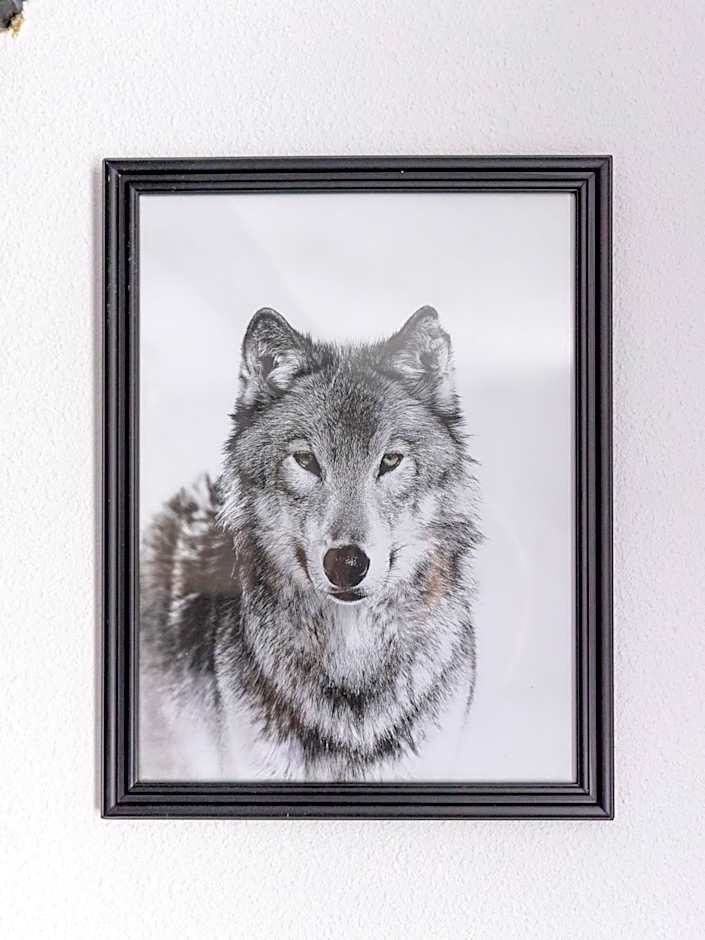 Wolf Hotel Kitchen & Bar