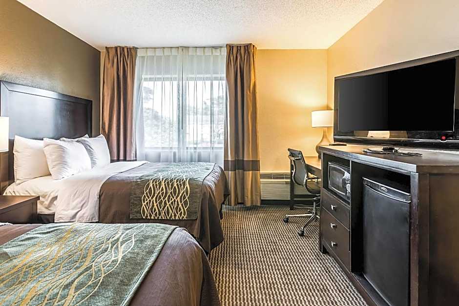 Comfort Inn Detroit Downtown
