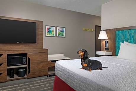 King Suite with Sofa Bed and Fireplace