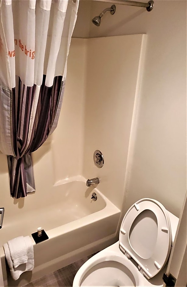 La Quinta Inn by Wyndham Tampa Near Busch Gardens