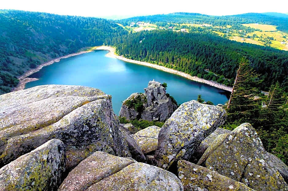 Logis Hôtel - Restaurant Aux Bruyères