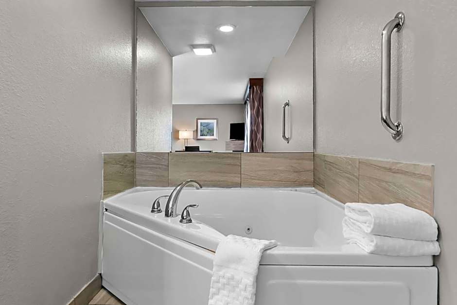 Best Western PLUS Flint Airport Inn & Suites