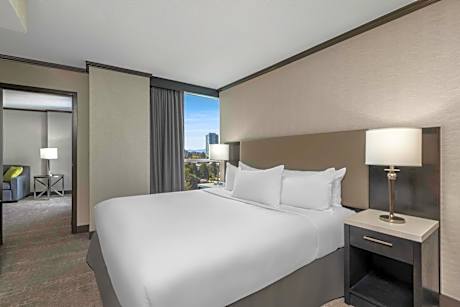 One-Bedroom King Suite