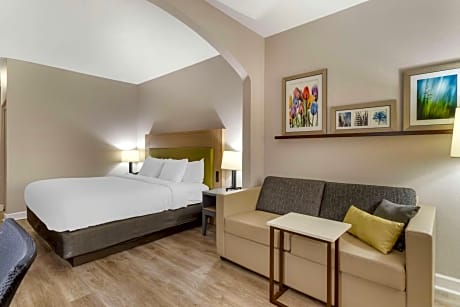 One Room Suite with Sofa bed - Non Smoking