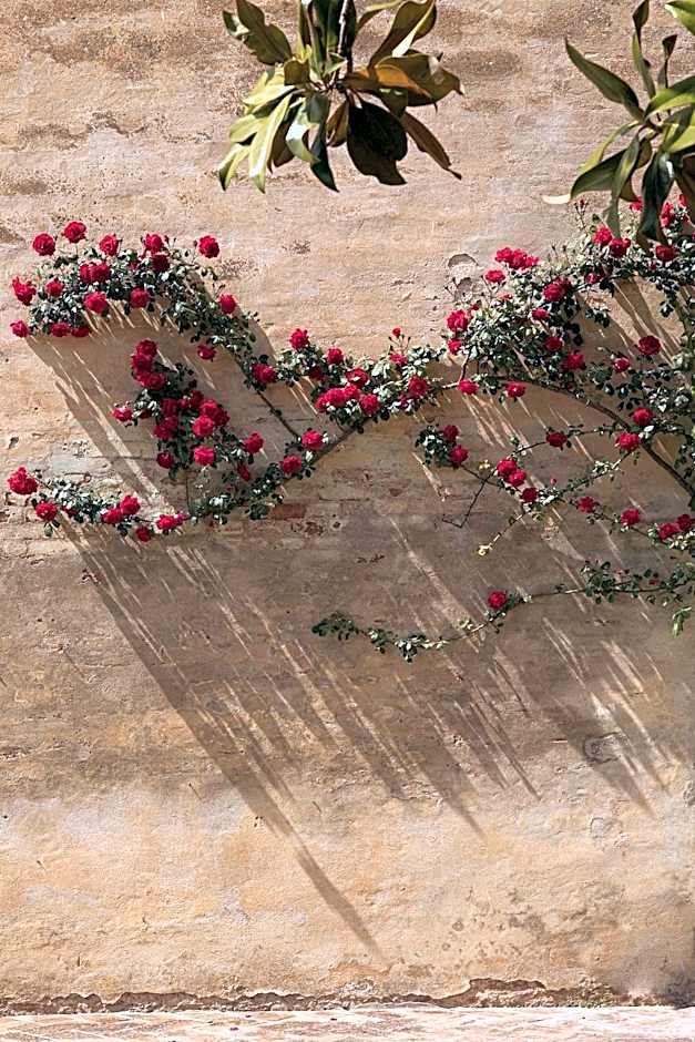 Hotel Certosa Di Maggiano