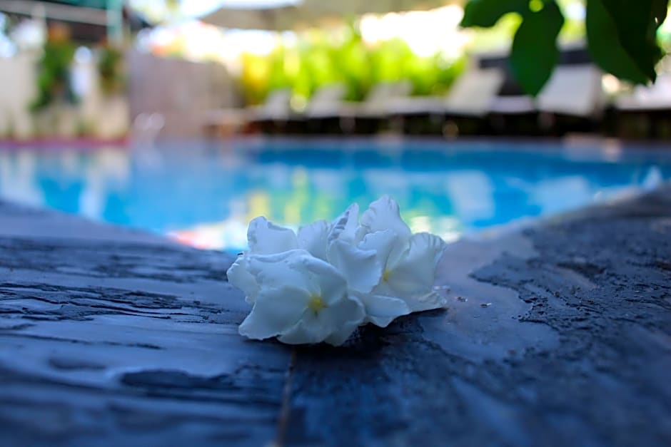 Phuc Thao Villa Hoi An