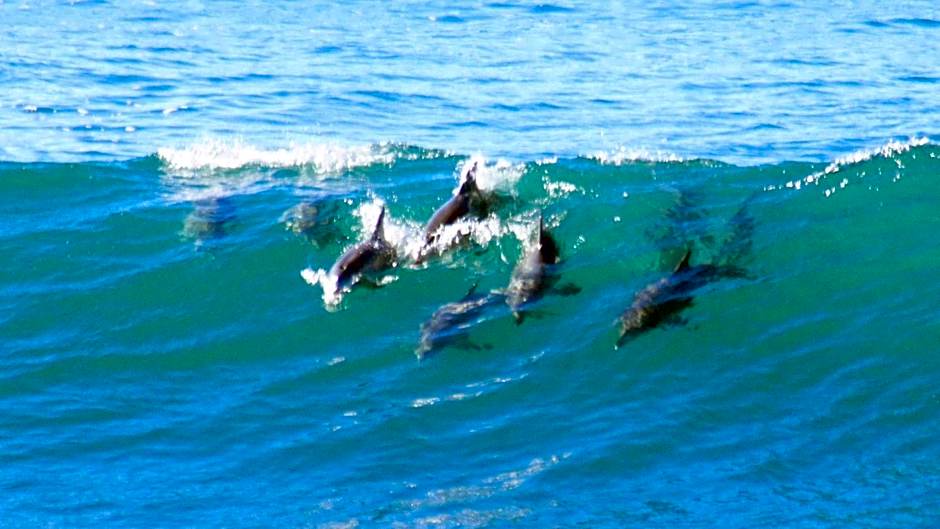 Mollymook Beach Waterfront