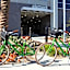 Element Irvine
