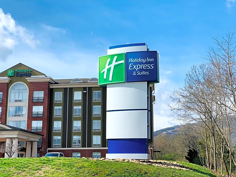 Holiday Inn Express Hotel & Suites Chattanooga-Lookout Mountain, an IHG Hotel