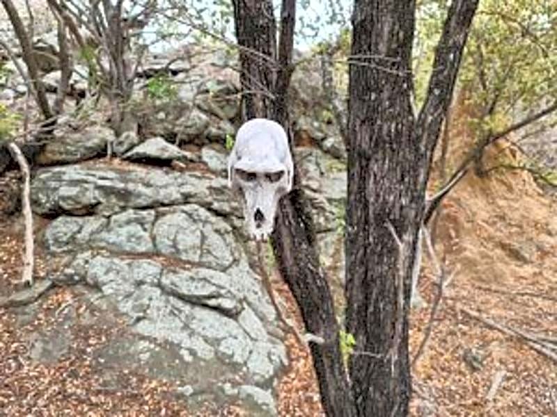 Nthakeni Bush & River Camp