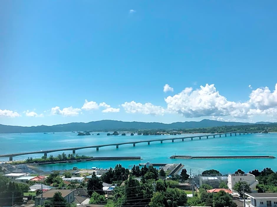 220 Kouri Nakijin-son - Hotel / Vacation STAY 8717