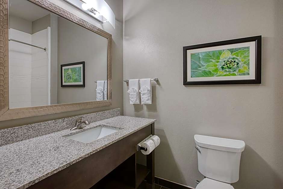 Best Western Plus Tech Medical Center Inn