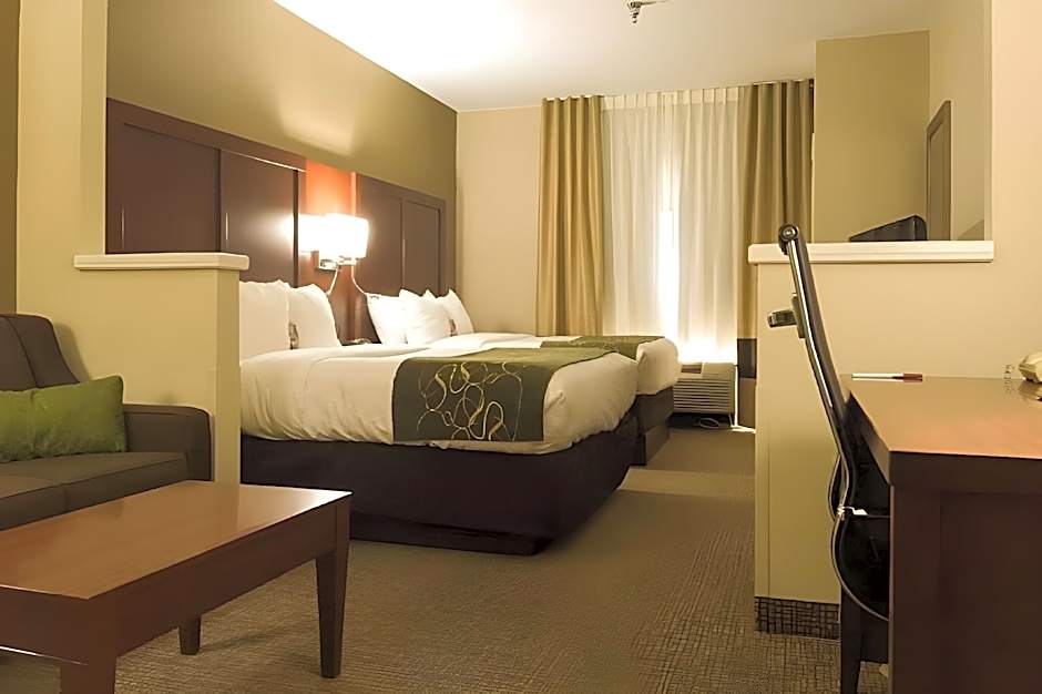 Comfort Suites Johnson City near University