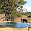 Shumbalala Game Lodge