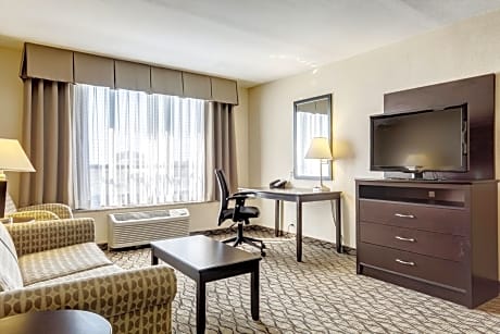 One-Bedroom King Suite