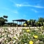 Antica Masseria Ficazzana - Tenuta